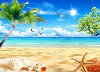 沙滩海景椰树图片