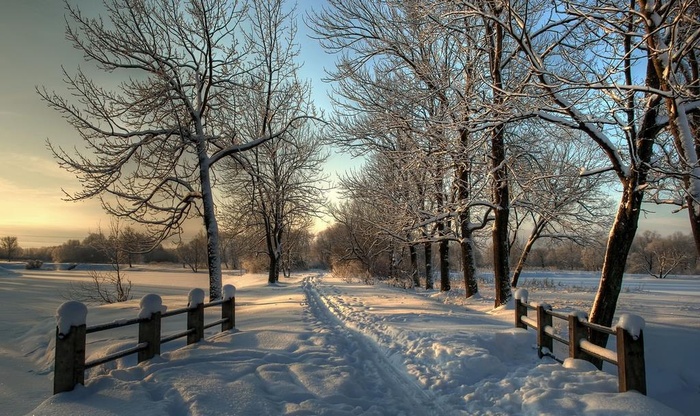 风景雪景图片