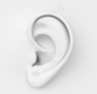 耳朵图片