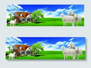 蓝天 白云 草地 羊图片