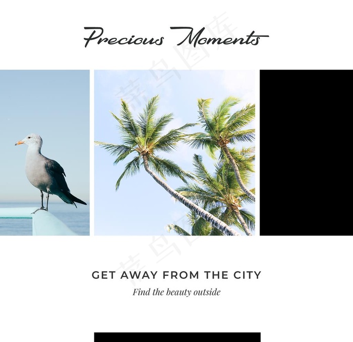 照片图片排版设计