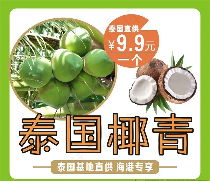 椰青 椰子海报图片cdr矢量模版下载