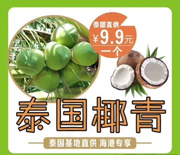 椰青 椰子海报图片