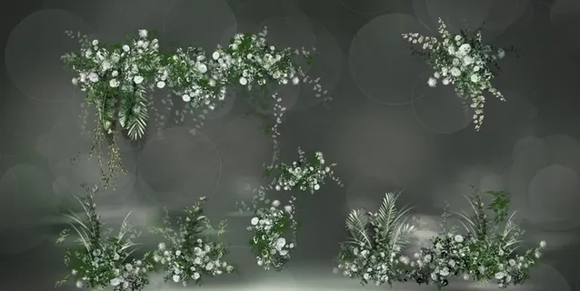 白绿色花艺图片