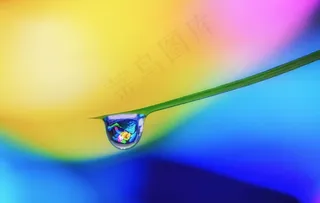 荷花水滴摄影图图片