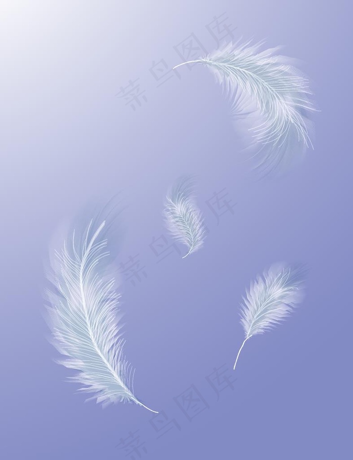 免扣羽毛素材图片