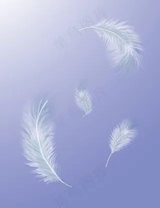 免扣羽毛素材图片