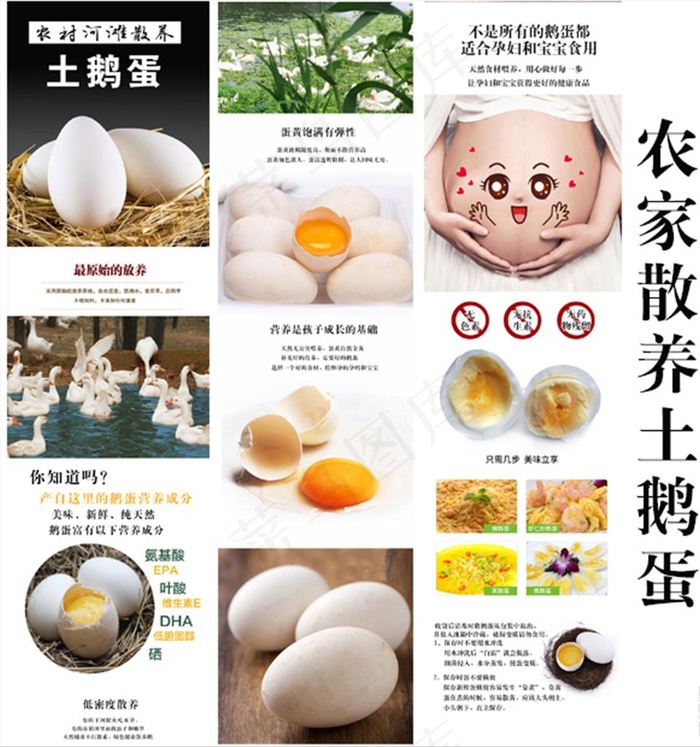农家散养土鹅蛋详情页淘宝图片