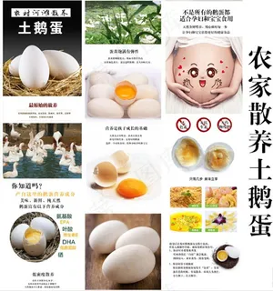 农家散养土鹅蛋详情页淘宝图片