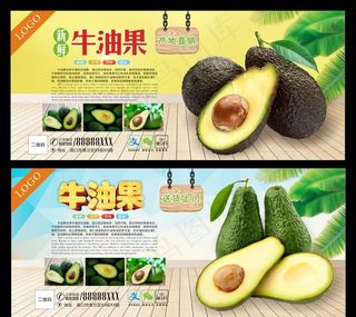 牛油果图片