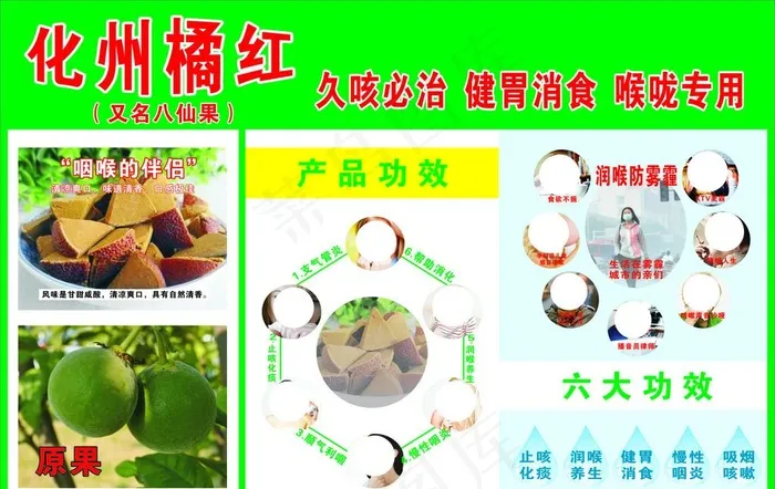 化州橘红图片cdr矢量模版下载
