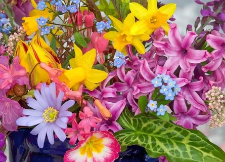 花儿图片 花儿图片