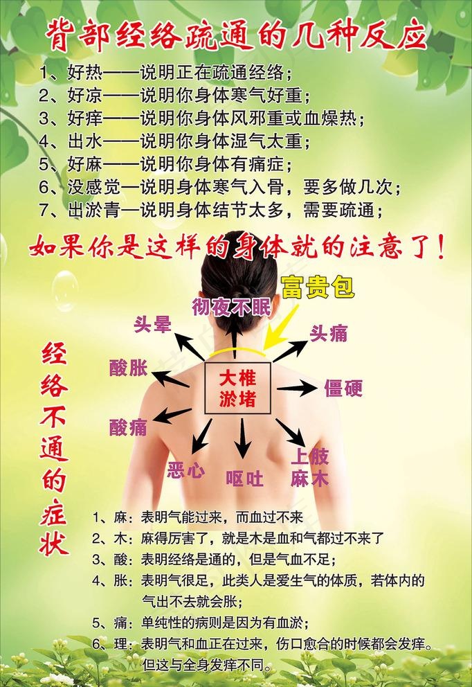 背部经络图片