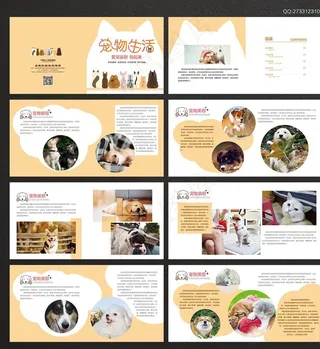 宠物画册图片