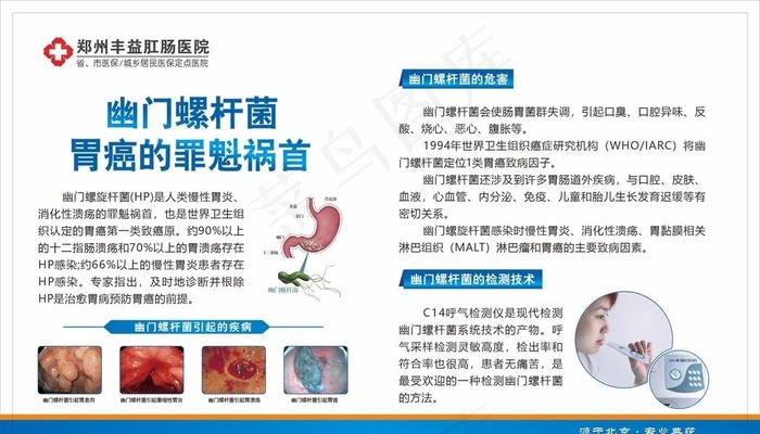 幽门螺杆菌图片cdr矢量模版下载