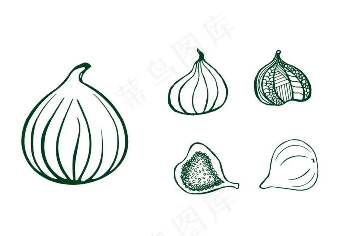 无花果图片ai矢量模版下载