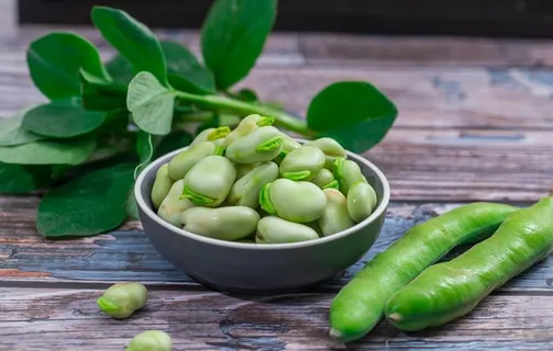 新鲜蔬菜蚕豆图片