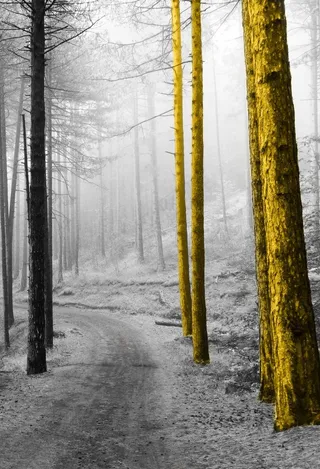 轻奢装饰画图片