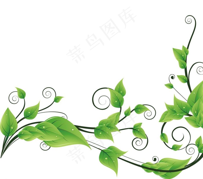 绿色 矢量藤图片
