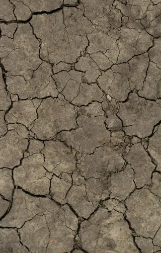 地面裂纹图片