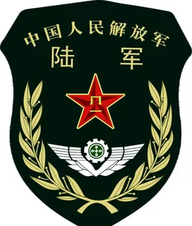 解放军陆军臂章图片