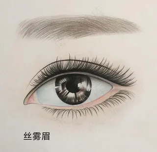 丝雾眉图片