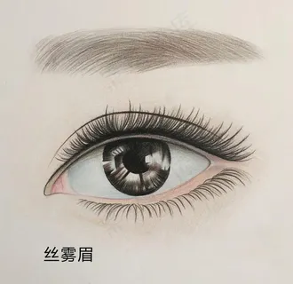 丝雾眉图片 丝雾眉图片