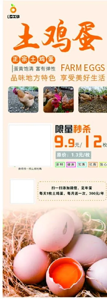 土鸡蛋展架图片cdr矢量模版下载