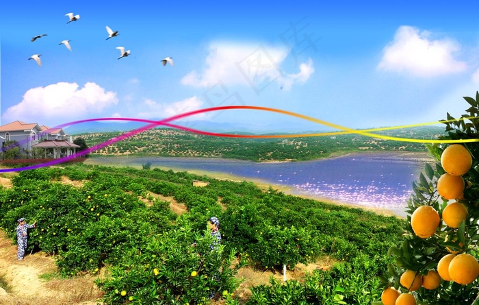 风景果园图片(7087X4724(DPI:30))psd模版下载