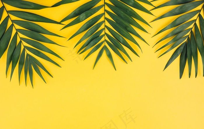 树叶背景图片