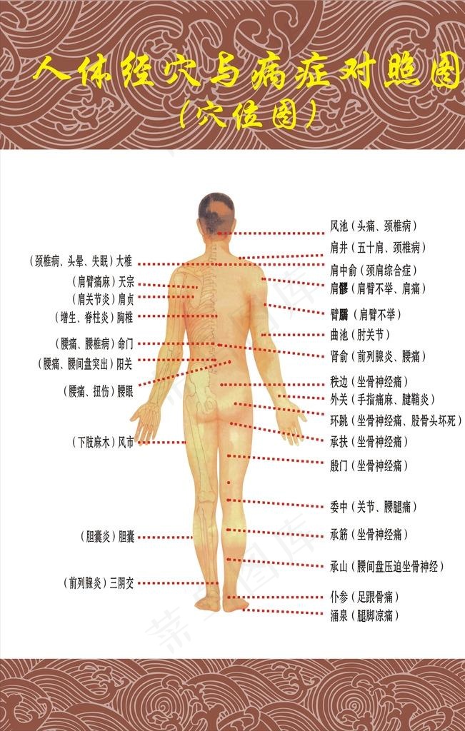 穴位图图片(600X900)cdr矢量模版下载