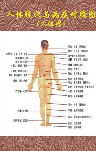 穴位图图片