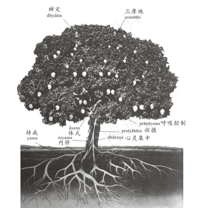 瑜伽之树 图片 文字 瑜伽cdr矢量模版下载