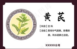 黄芪功效 黄芪药效图片