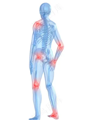 全身透视图图片