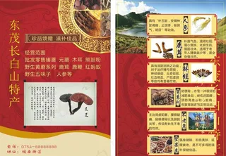 特产宣传单图片