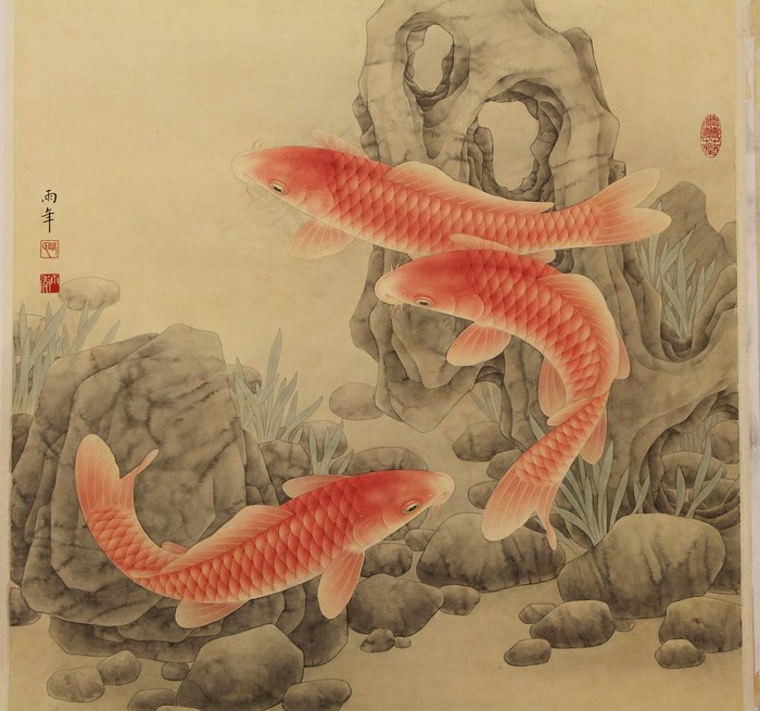红鱼图片