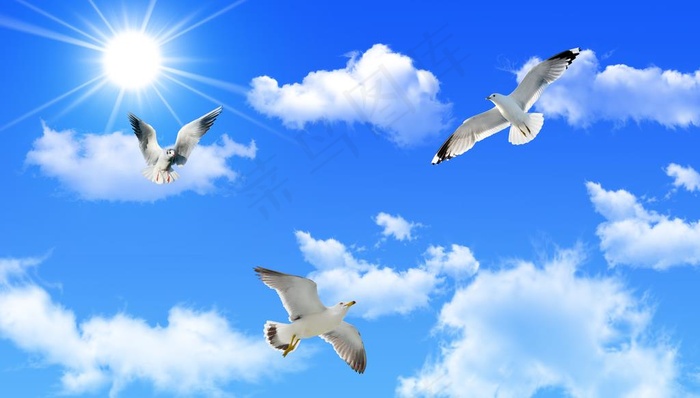 蓝天背景墙图片