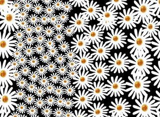 矢量小花 数码 印花 裙子回位图片