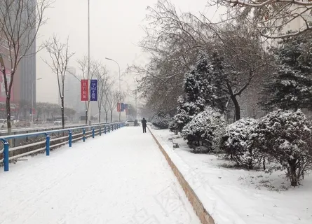 冬日雪景图片 冬日雪景图片
