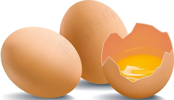 鸡蛋图片cdr矢量模版下载