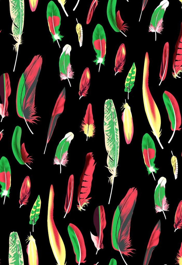 红绿色羽毛图片