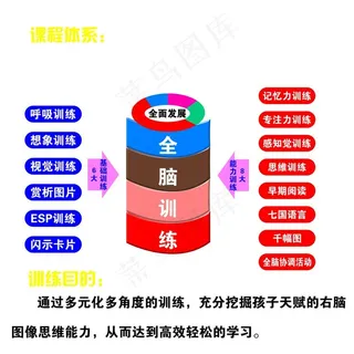 全脑教育图片
