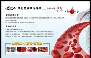 净化血液图片