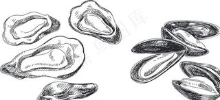 贝壳类海鲜图片