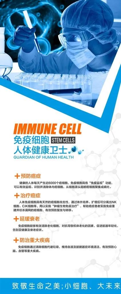 细胞海波图片