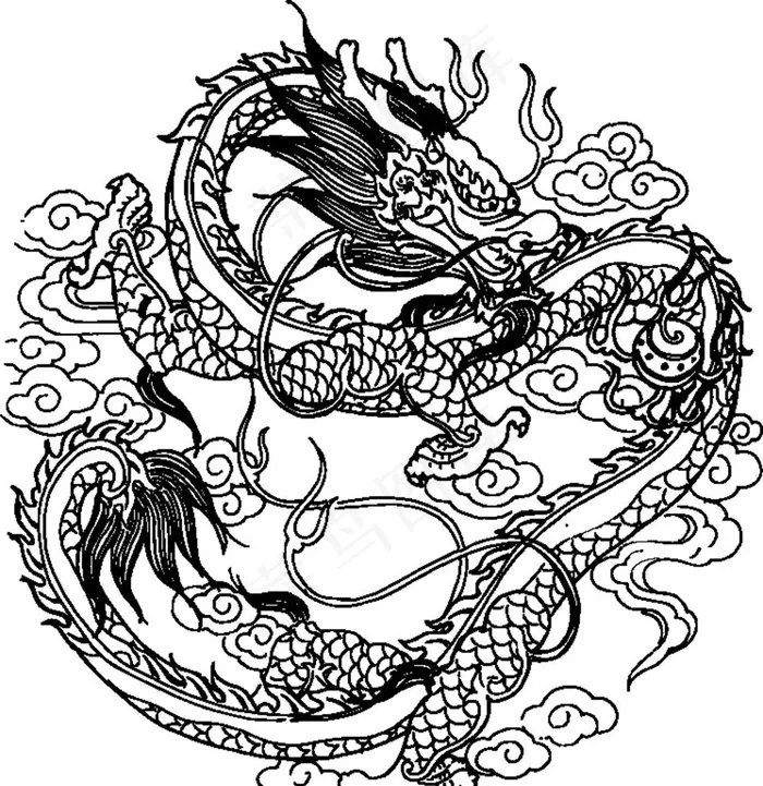 龙图片ai矢量模版下载