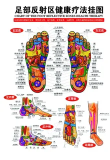 古方足浴 药浴海报 图片 古方足浴 药浴海报 图片