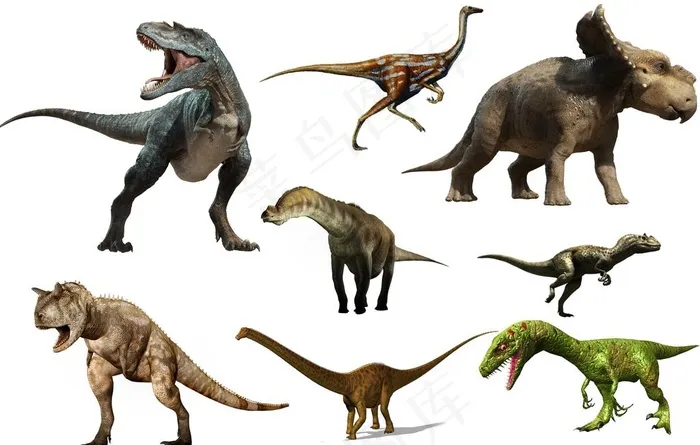 恐龙图片psd模版下载