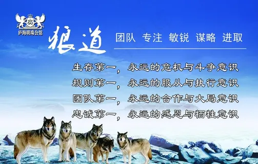 狼道图片 狼道图片